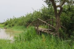 02-LA-IMG_0856_resultat